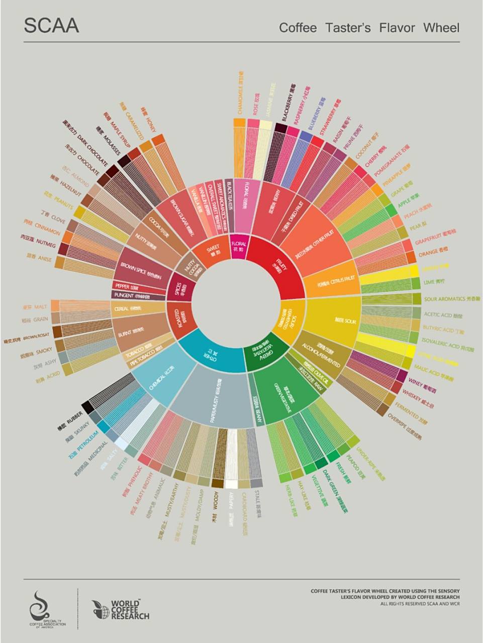 涨知识:咖啡风味轮高清中英文版,附使用方法 75咖啡风味轮是由美国