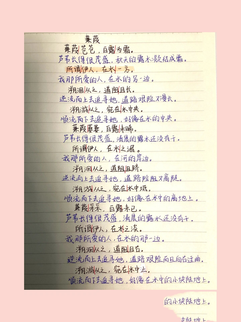 诗经(下)蒹葭翻译