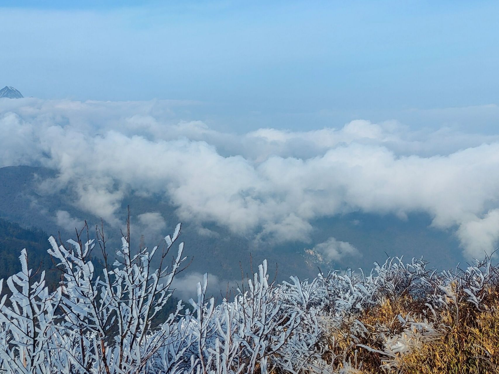 绵阳千佛山最详细攻略  	 千佛山分为四部分:公路,石子路,土路,三千梯