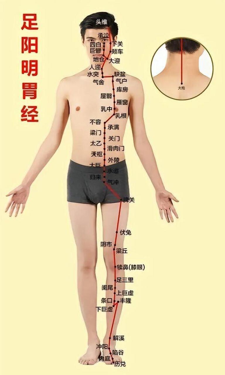 十二经络图,完整版打包 十二经络穴位图,全部在收藏慢慢看