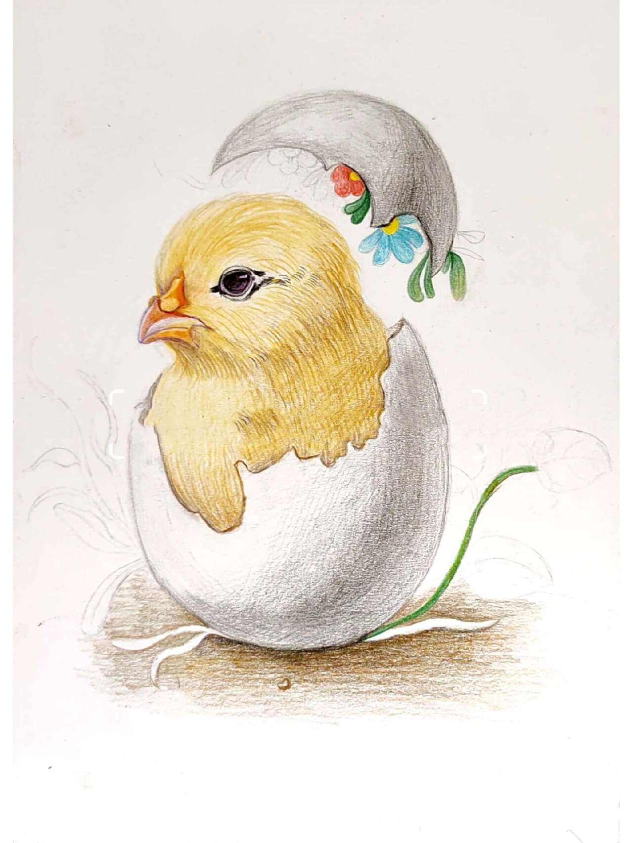 线上美术课范画 彩铅:辉柏嘉 马可 知识点:素描球体 创意素描设计