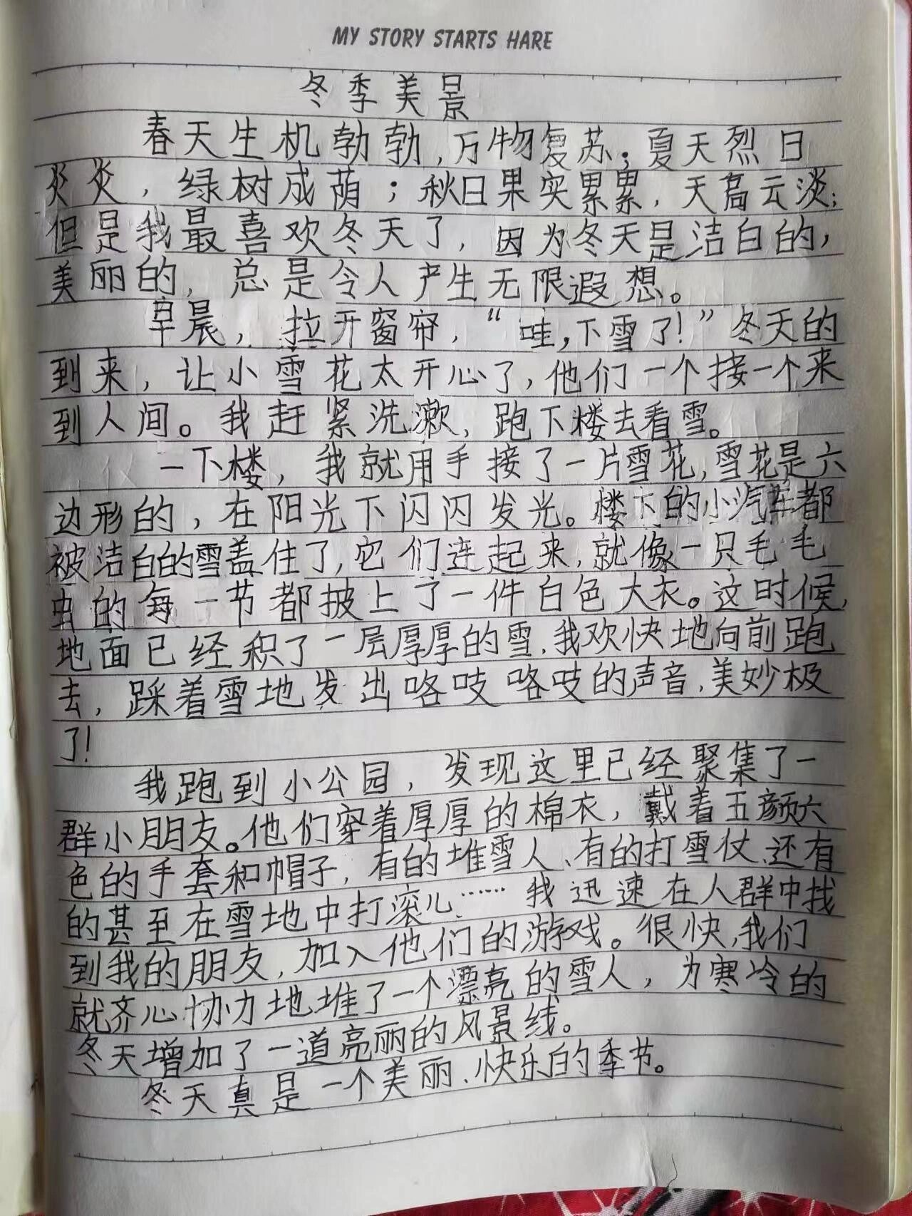 冬天的树林作文图片