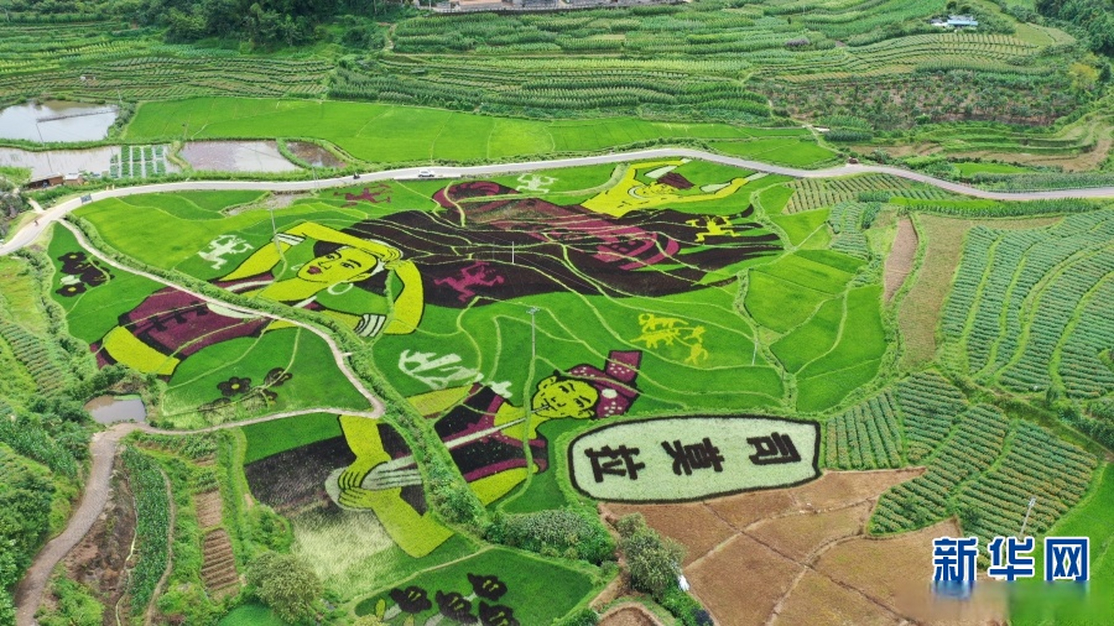 依托佤族特色和田园风光,司莫拉2016年以来开始发展乡村旅游,村民们的