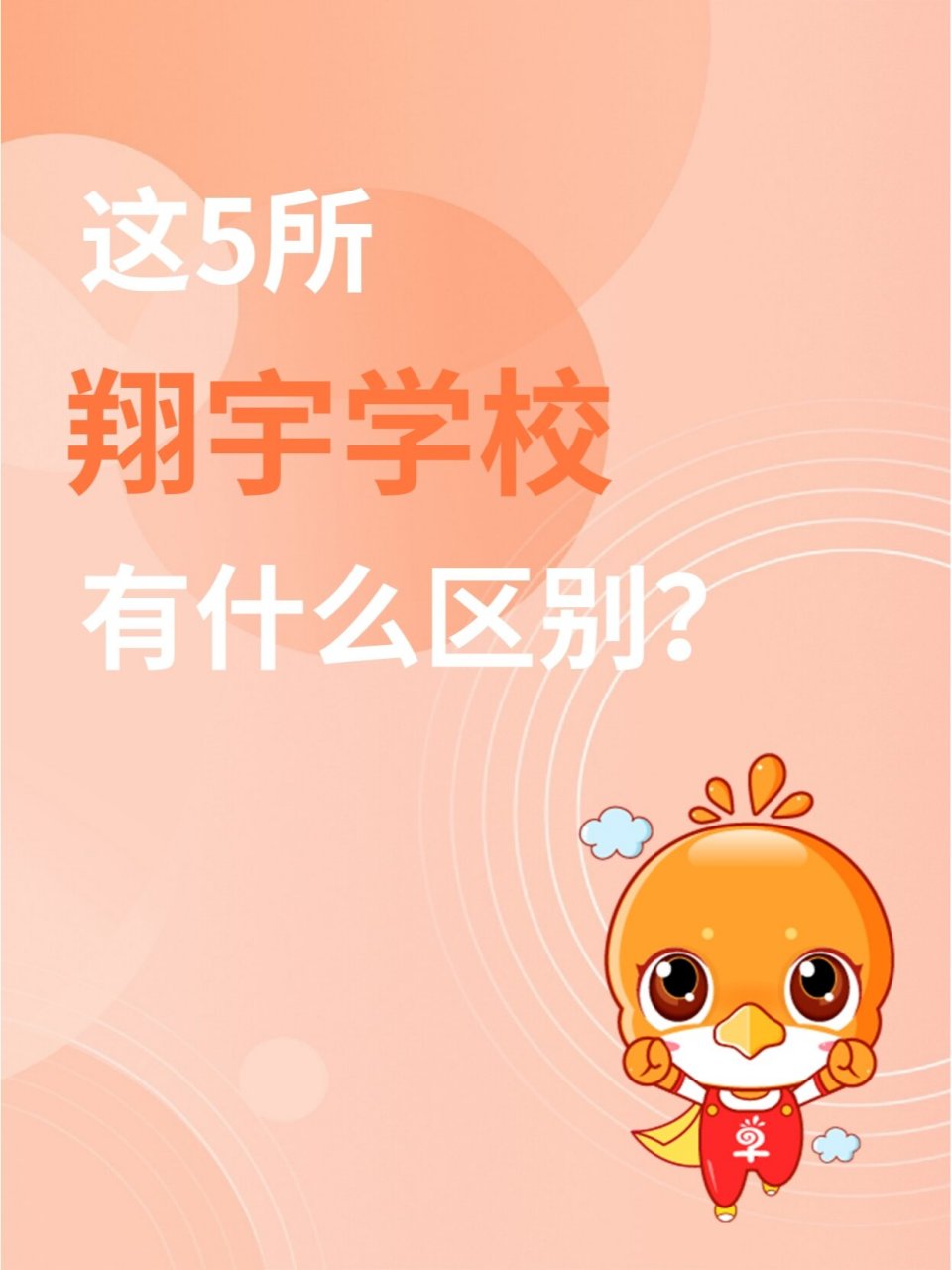 河东翔宇小学图片