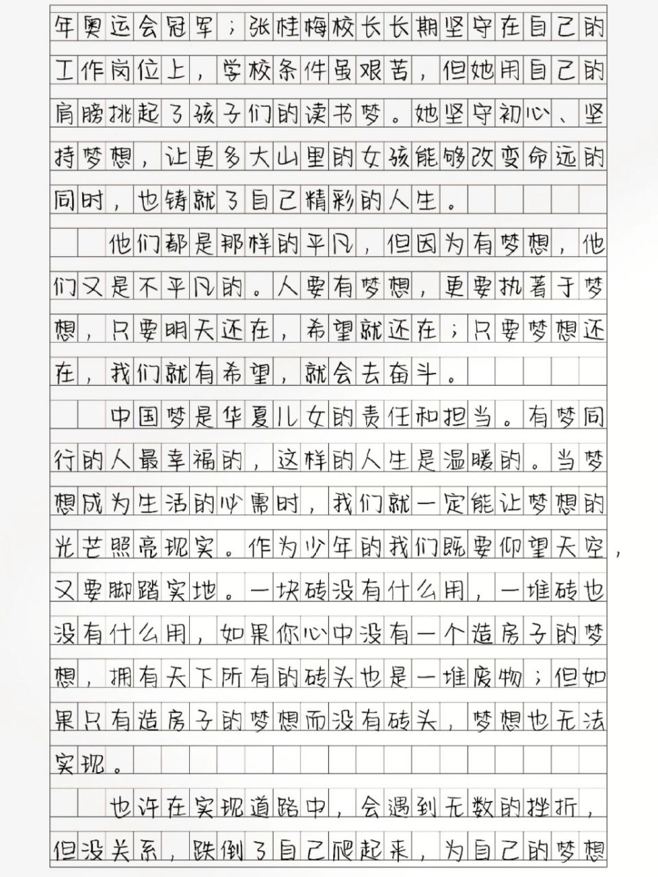 我是小小追梦人作文图片