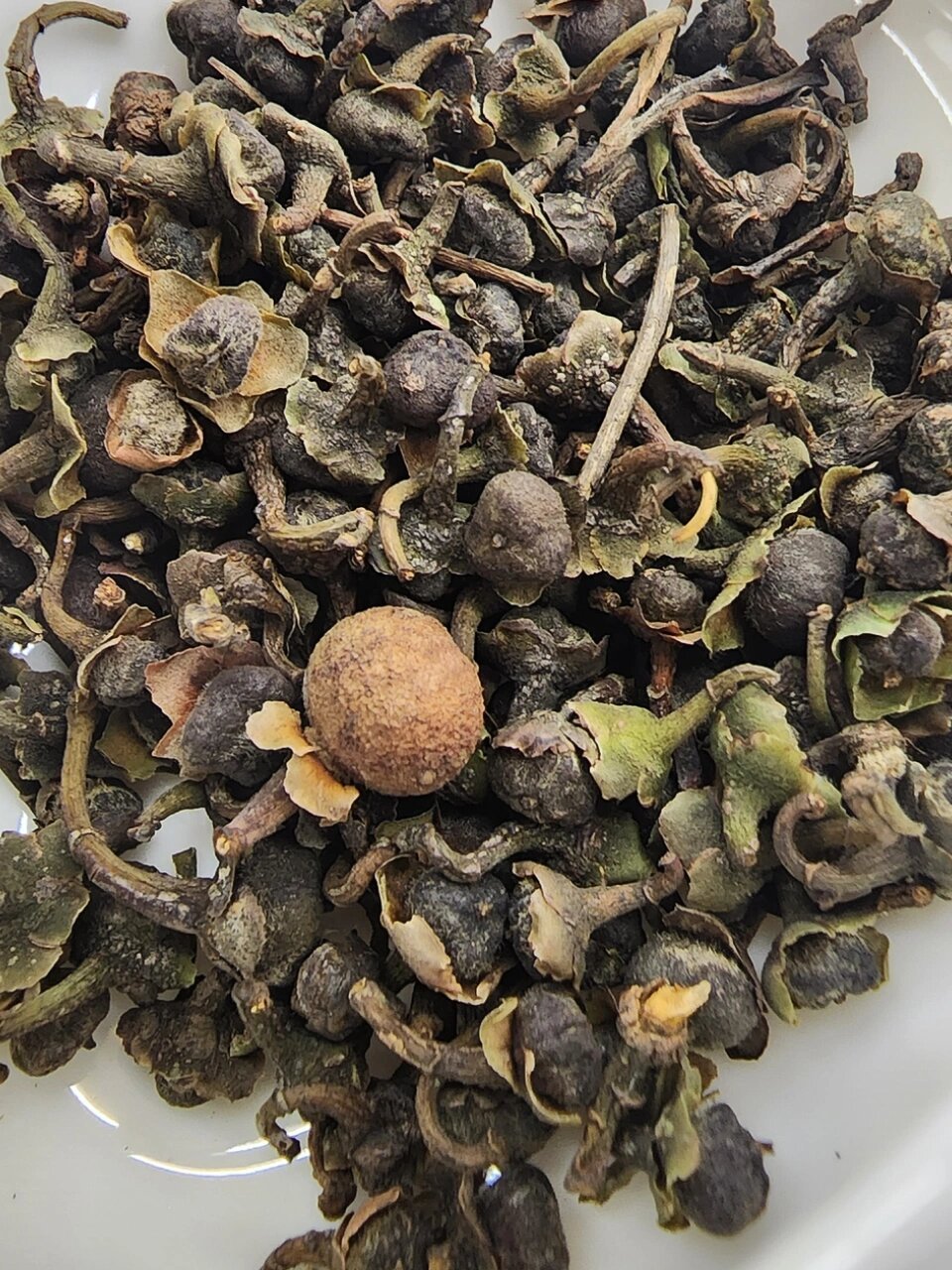 果香清甜的福鼎白茶籽 2022年野生茶籽 经过大半年的多轮复晒 终于在