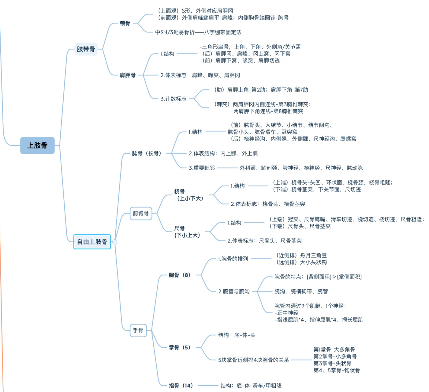 骨学的知识框架图图片