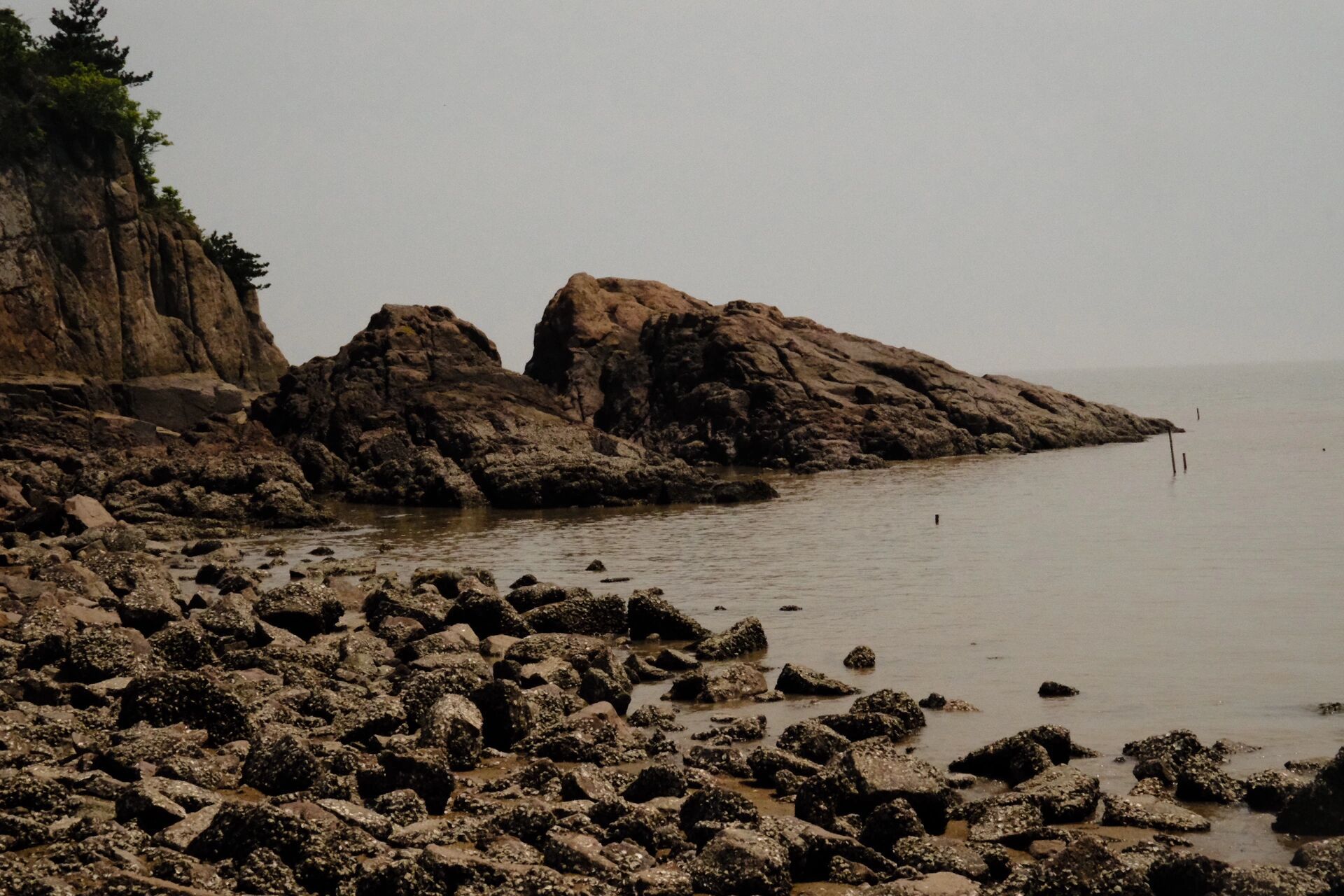 宁波北仑洋沙山海滩图片