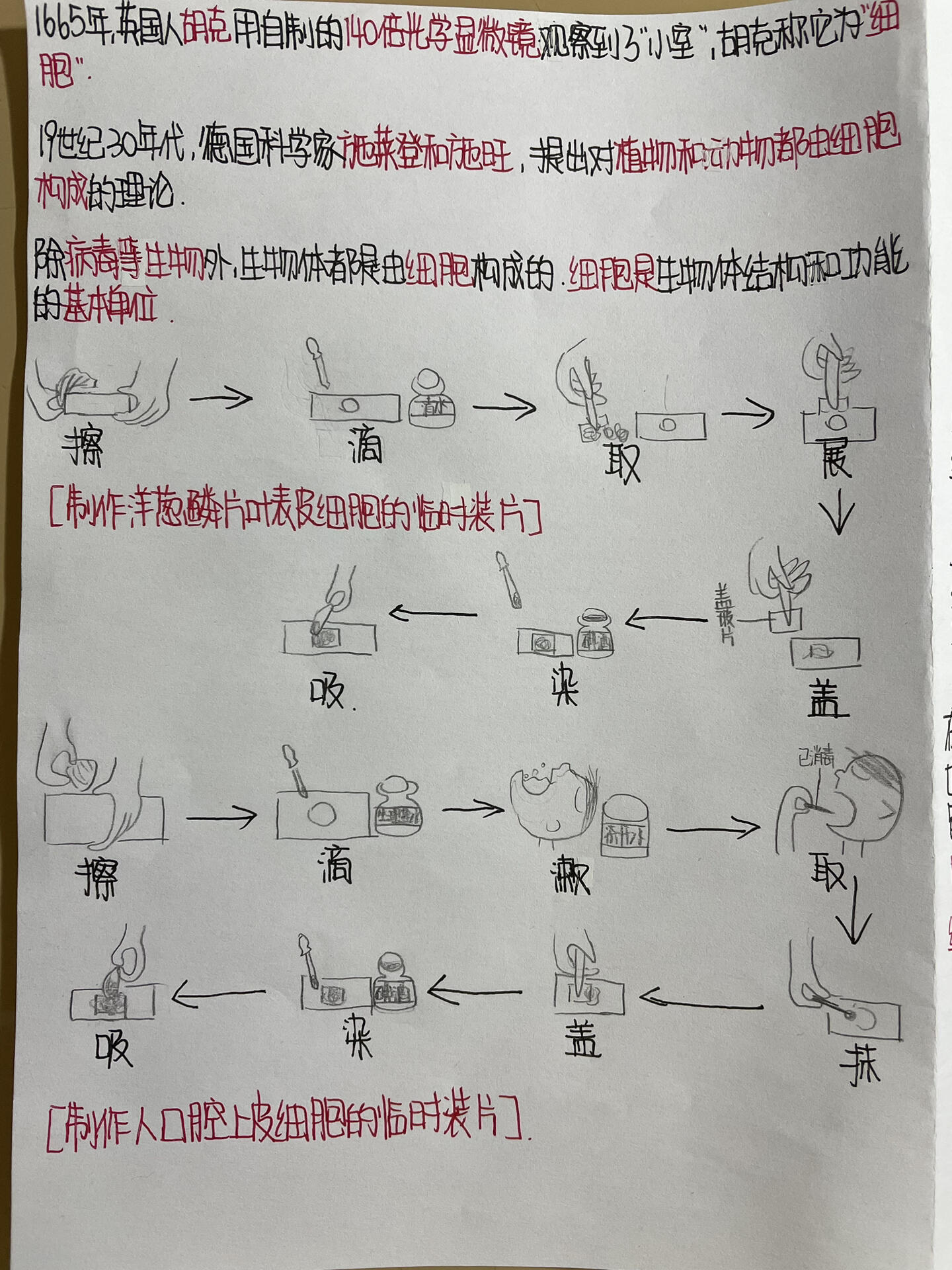 苏教版 生物第八章思维导图