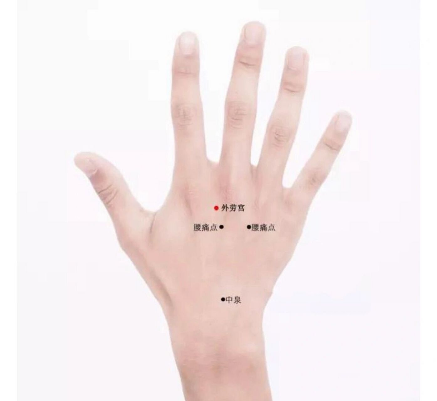 【每日一穴】外劳宫穴:属经外奇穴;主治:落枕, 【每日一穴】外劳宫穴