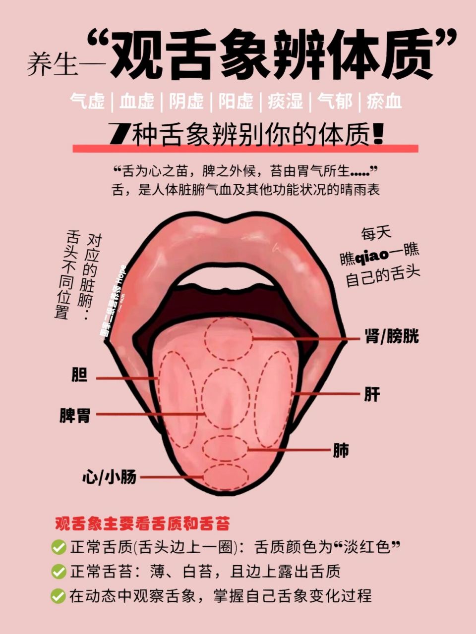其他功能状况的晴雨表6015五脏六腑的健康,都会从舌头上反映出来