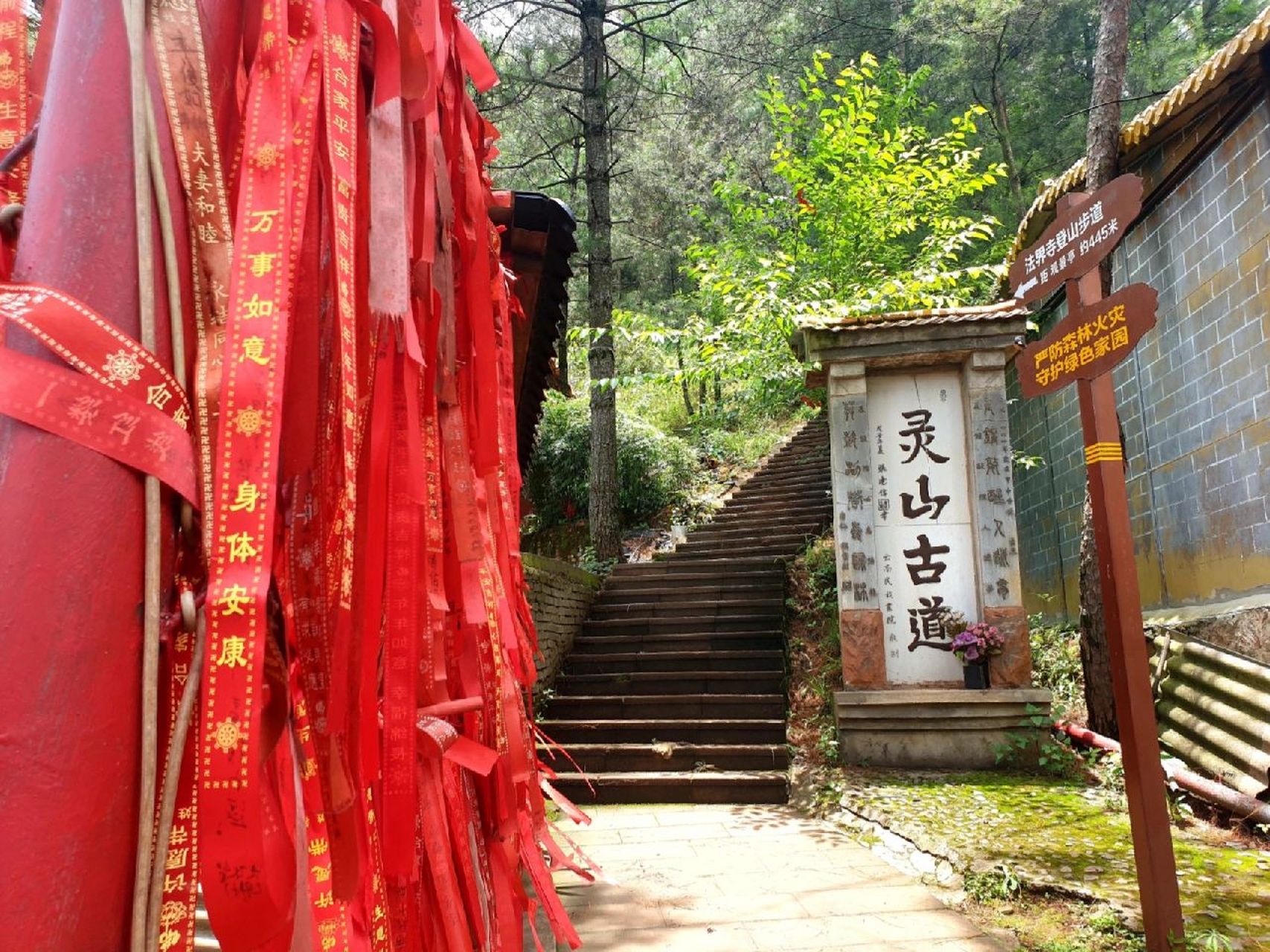 嵩明法界寺森林公园图片