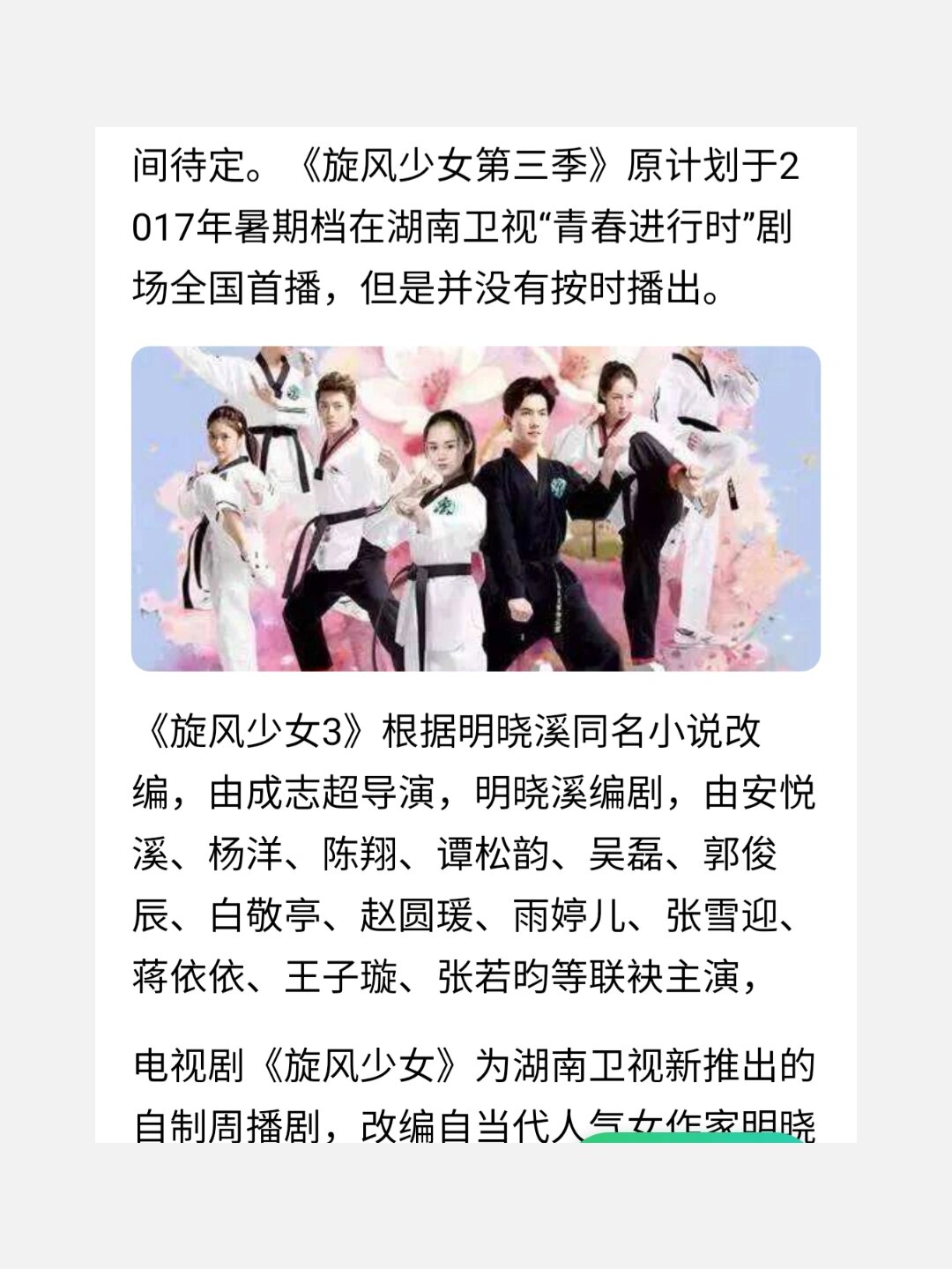 旋风少女第三季