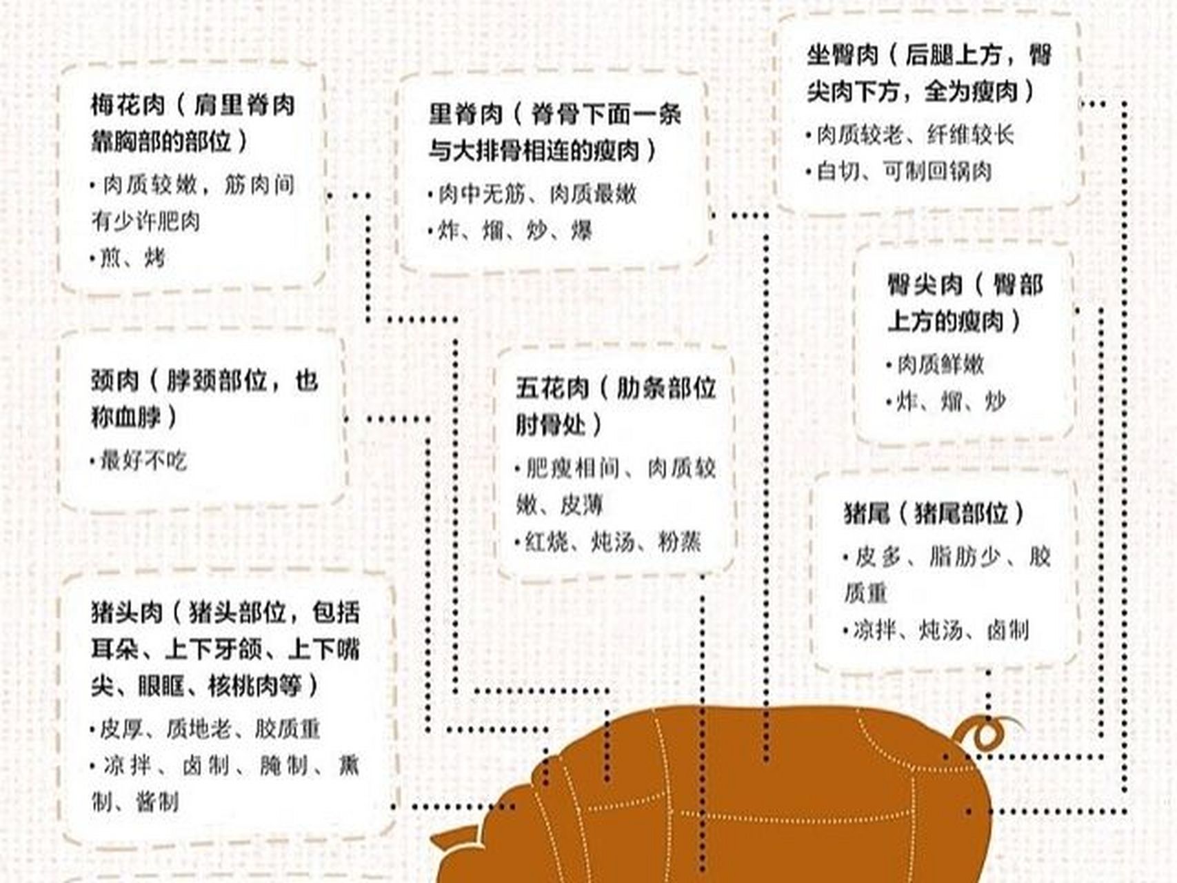 一张图教你认识猪肉各部位及最佳吃法73 虽然猪的部位比较多,但常用