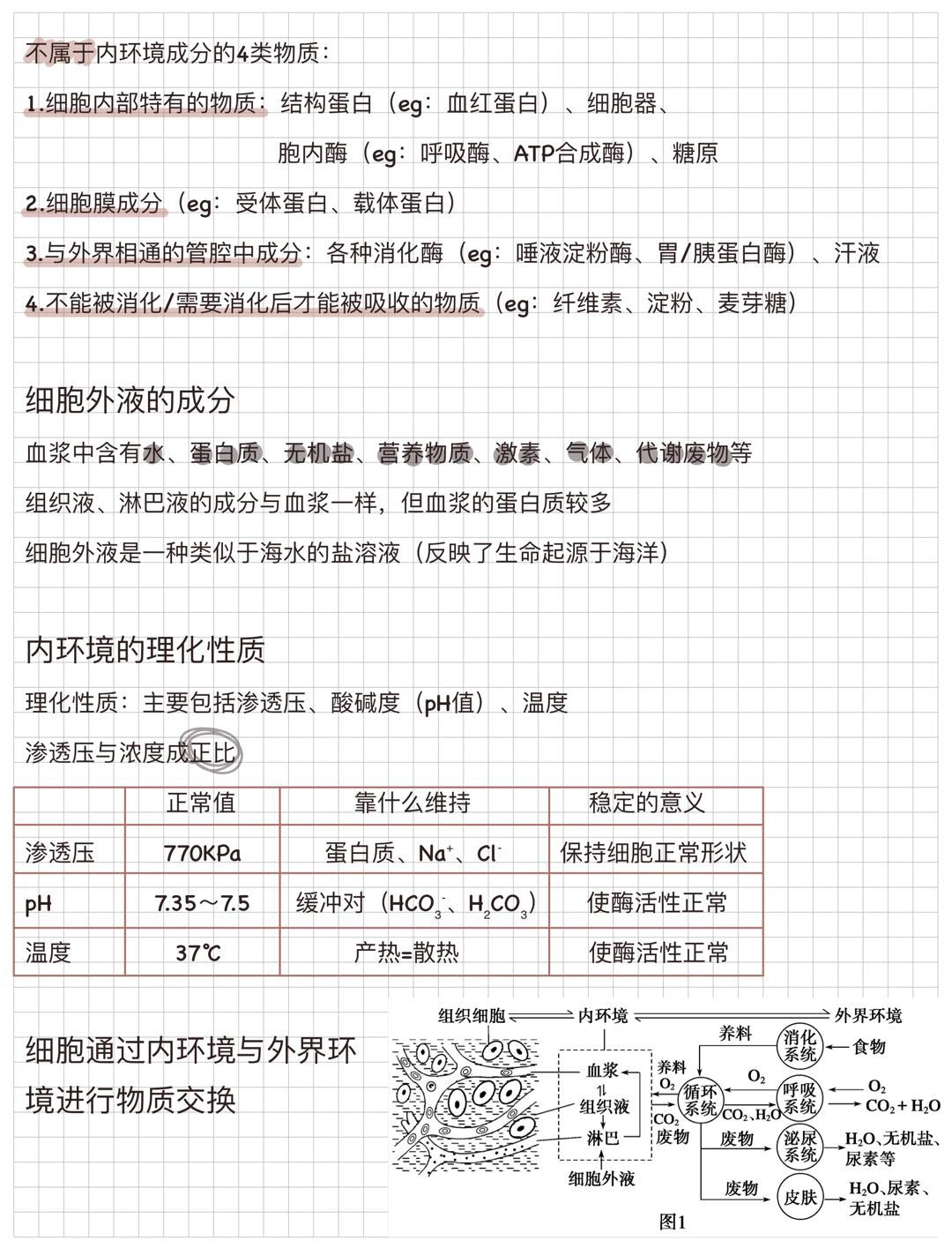 人体内环境成分图片