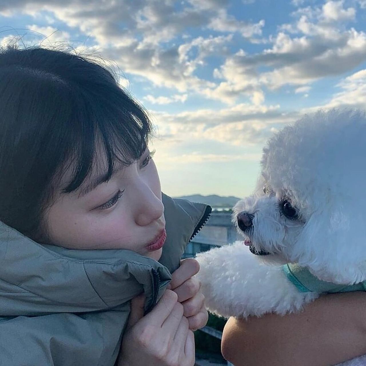 头像分享65 | 裴秀智 cr: skuukzky