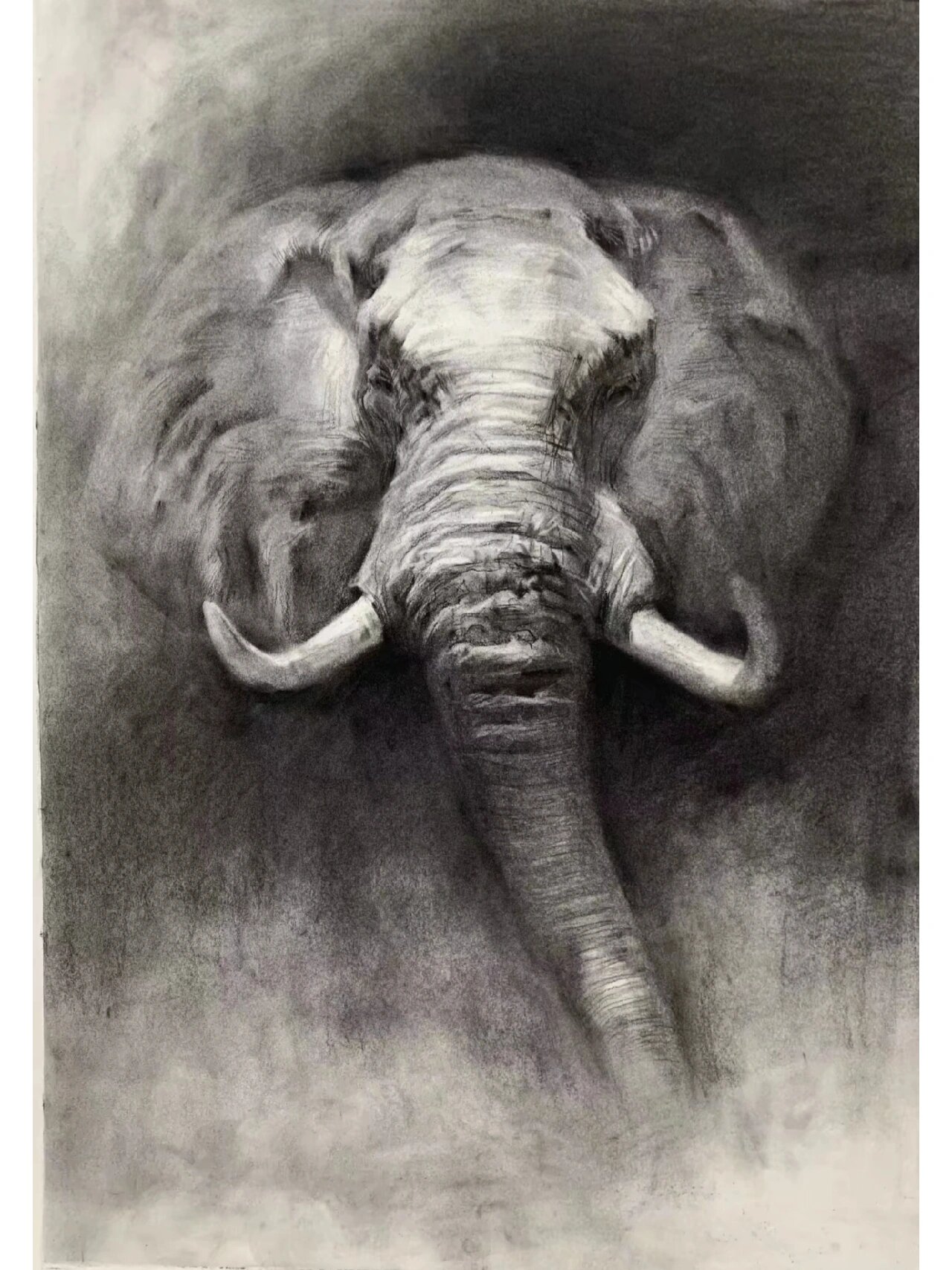 四开素描大象,两小时
