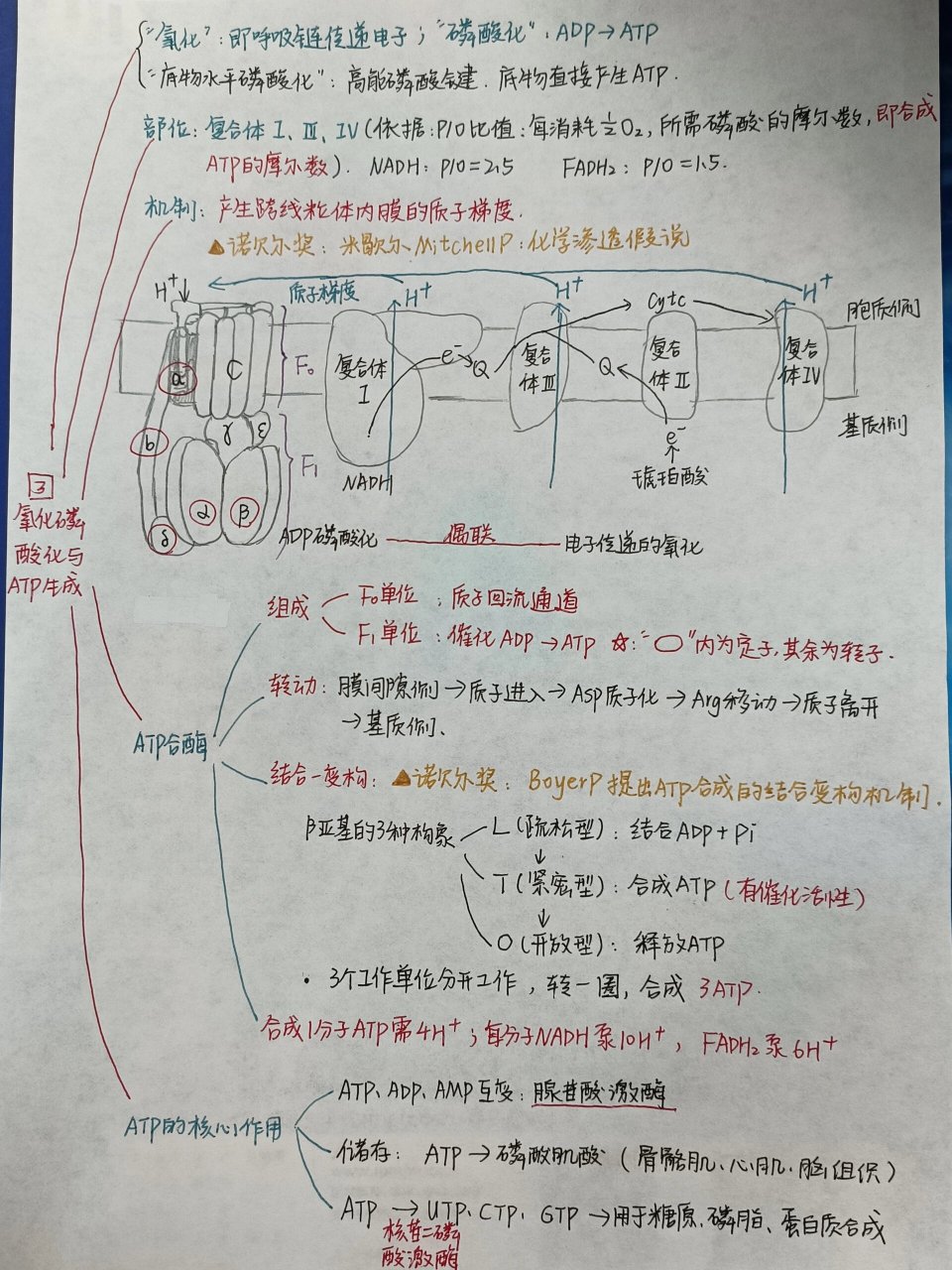 氧化物的思维导图图片