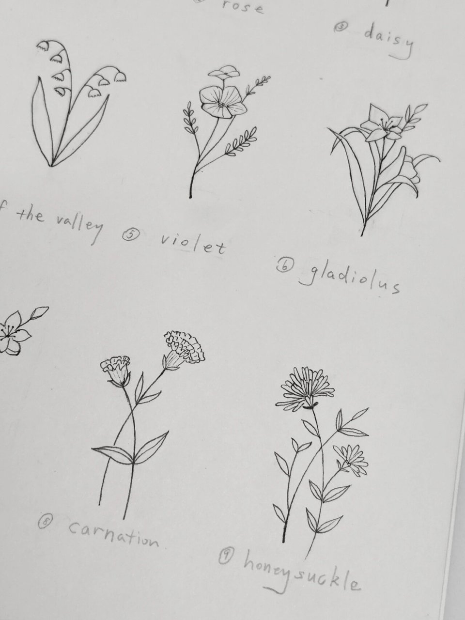 植物简笔小画 1.	小野花 2.	玫瑰 3.	小雏菊 4.	铃兰 5.	紫罗兰 6.