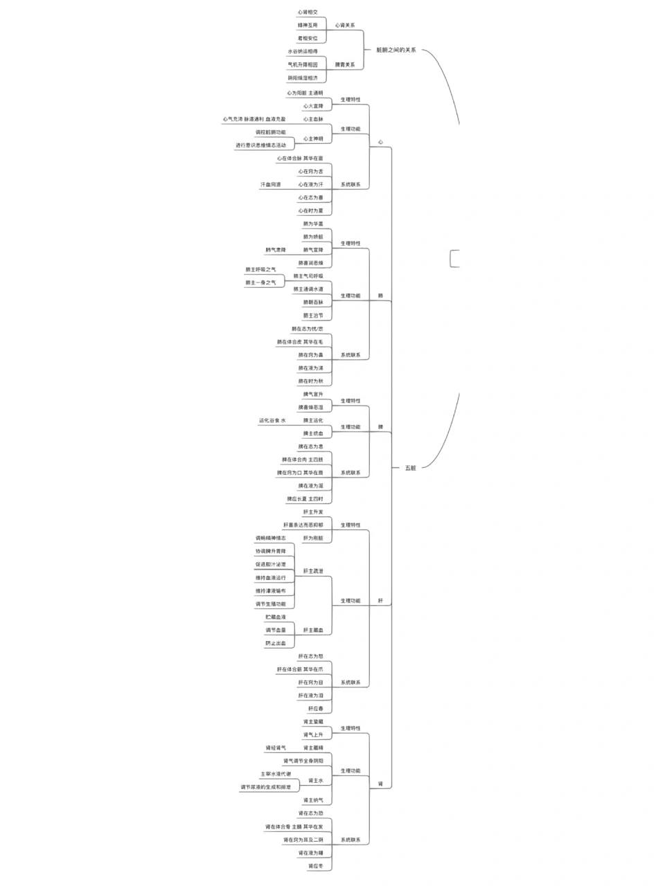 《中医药基础理论》藏象学说思维导图