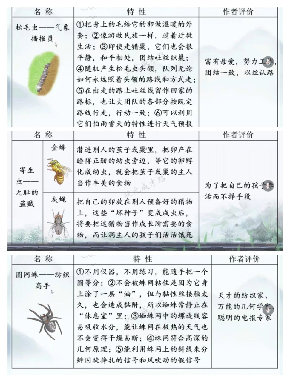 昆虫的名字大全图片