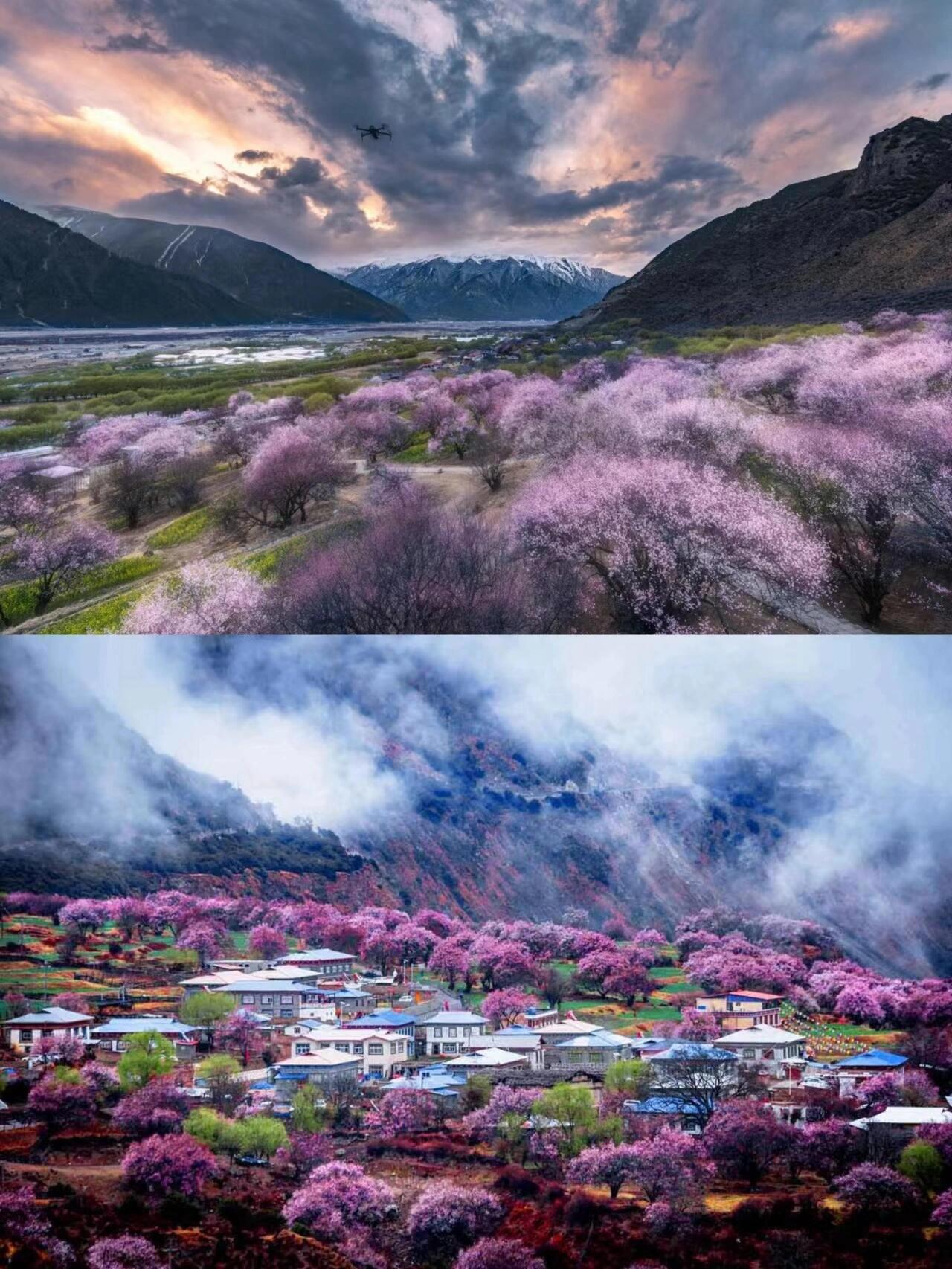 西藏林芝桃花节,必去的5个赏花胜地!