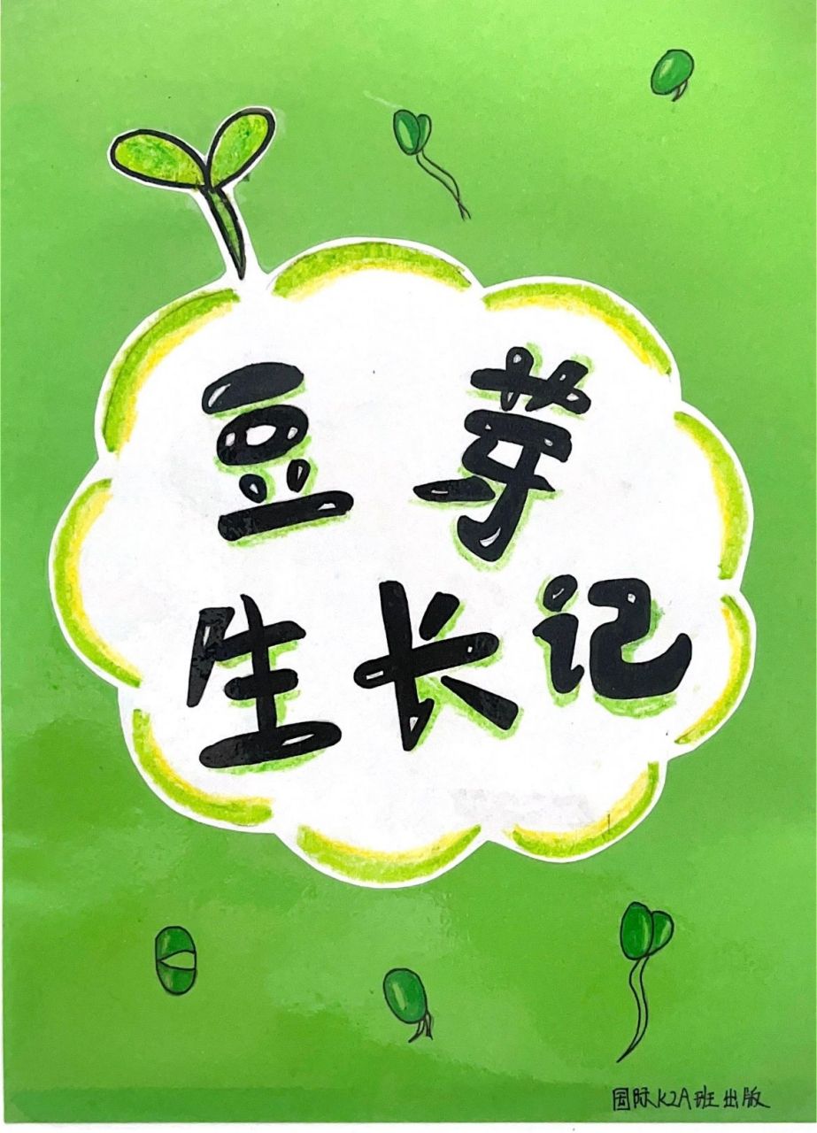 幼儿园自制小书《豆芽生长记》    我们自己种了豆