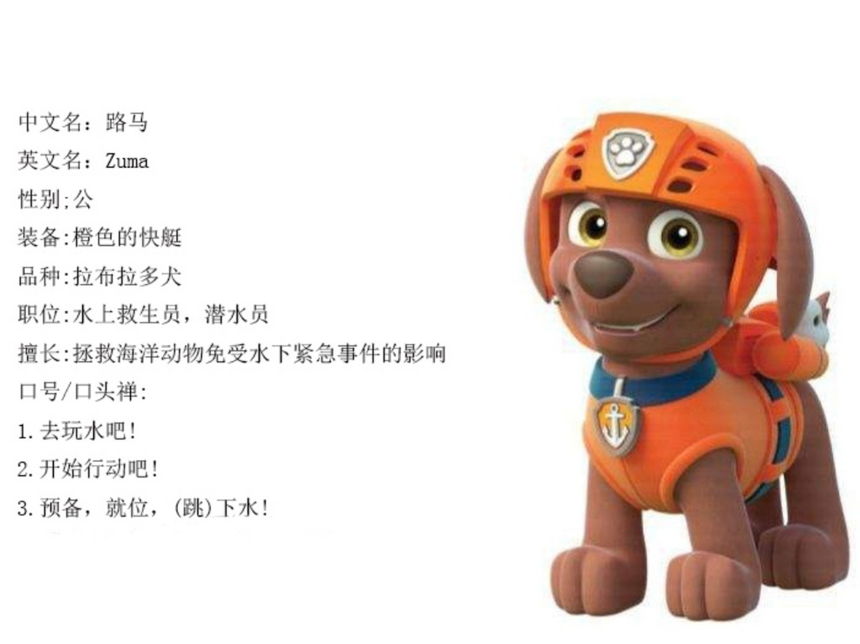 paw patrol 人物介绍图片