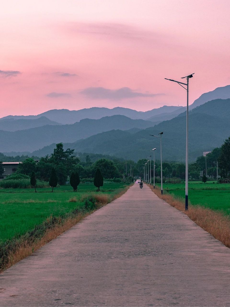 傍晚 农村 田野 晚霞 虫鸣 蛙叫