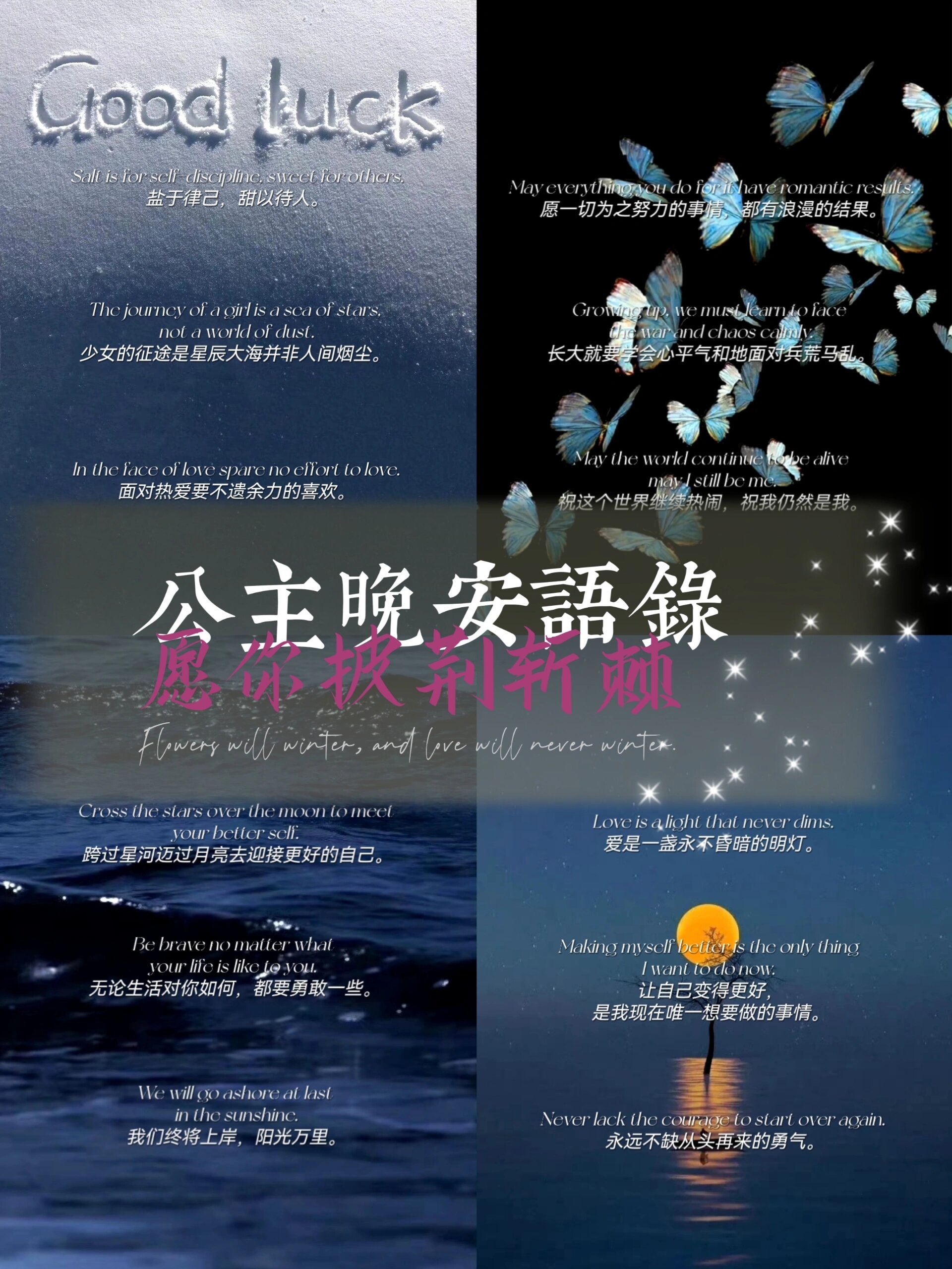 英文晚安语录✨愿你所念皆星河