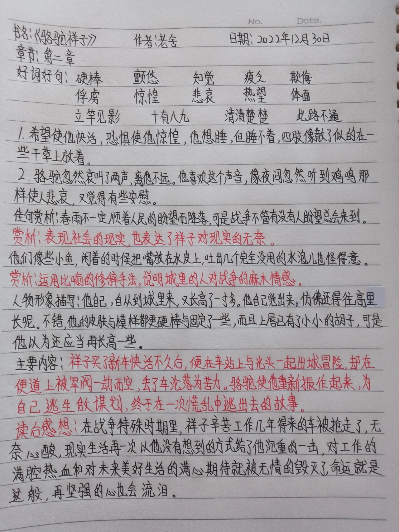 《骆驼祥子》第二章 读书笔记