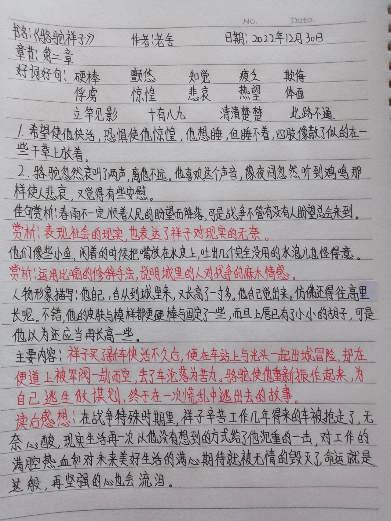 《骆驼祥子》第二章 读书笔记