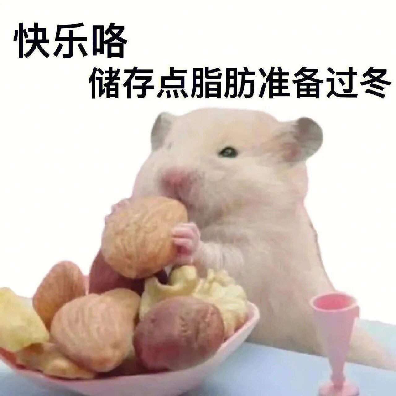 沙雕仓鼠表情包(1)