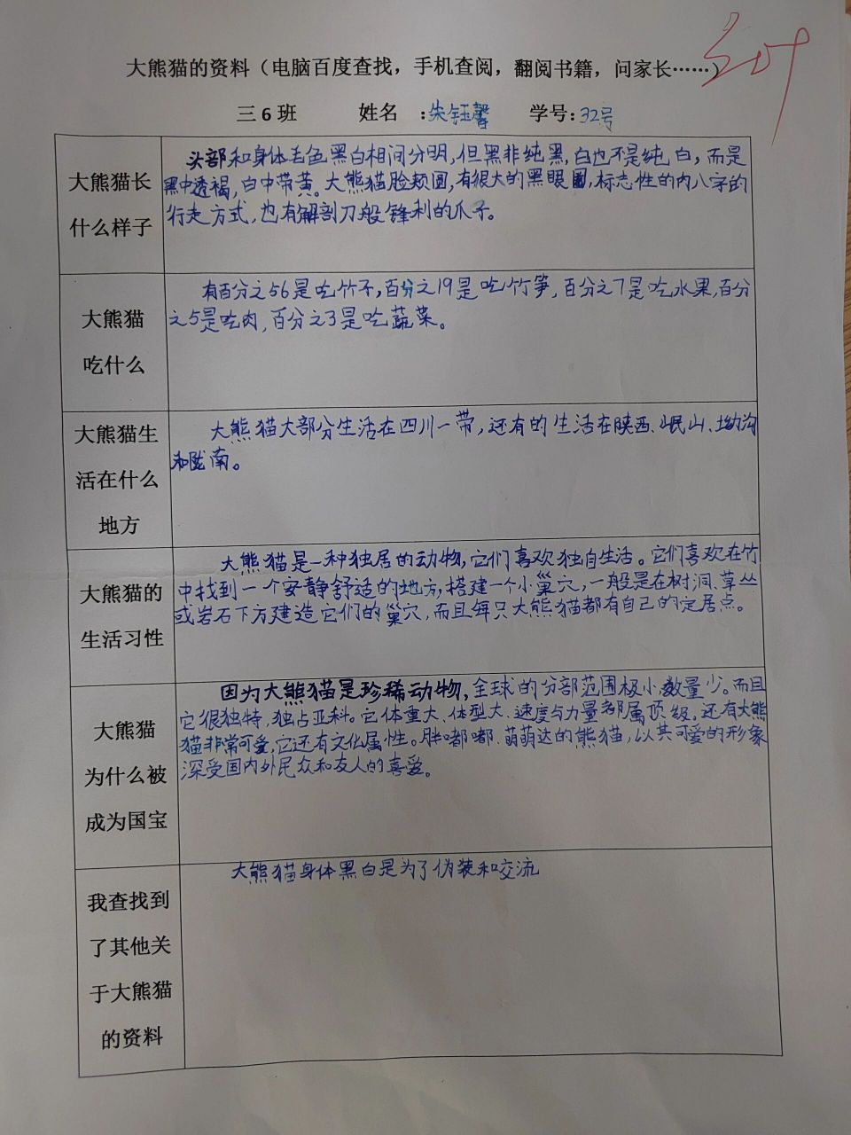 调查表"大熊猫资料"习作国宝大熊猫
