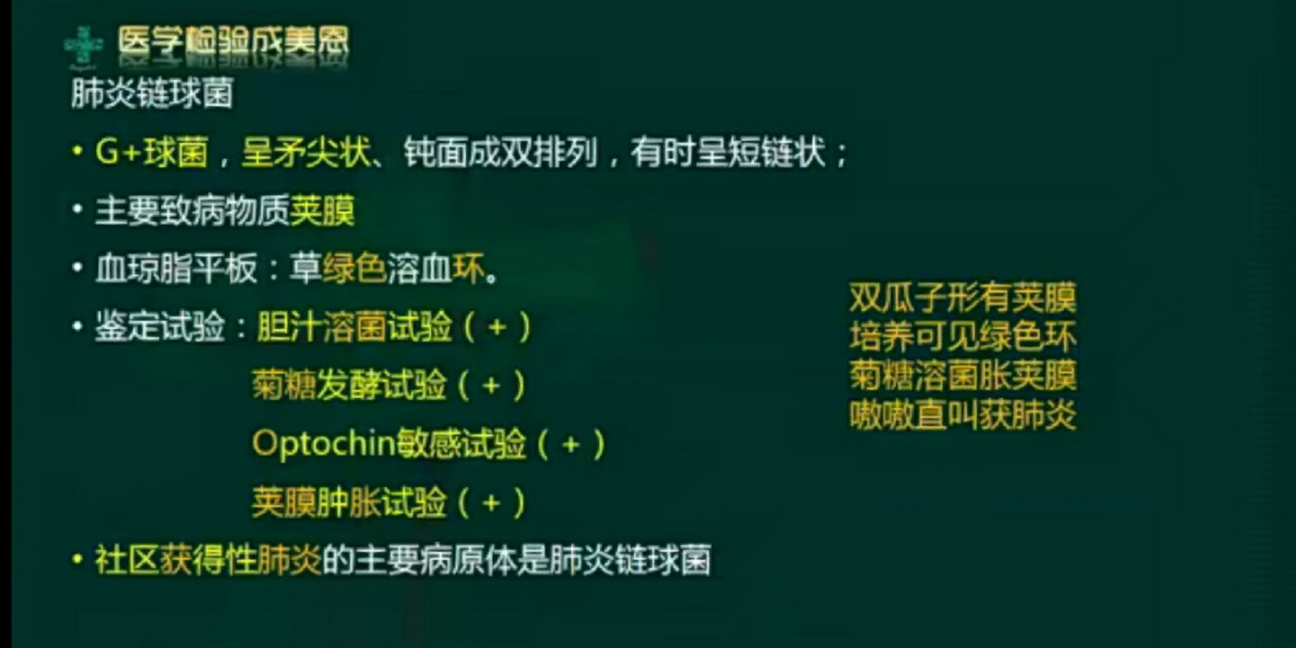 肺炎链球菌鉴别要点 需与草绿色链球菌鉴别: 双瓜子形有荚膜 培养可见