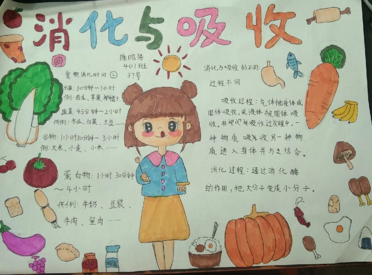 科学消化与吸收的手抄报ε.@梦境里的幸福的动态