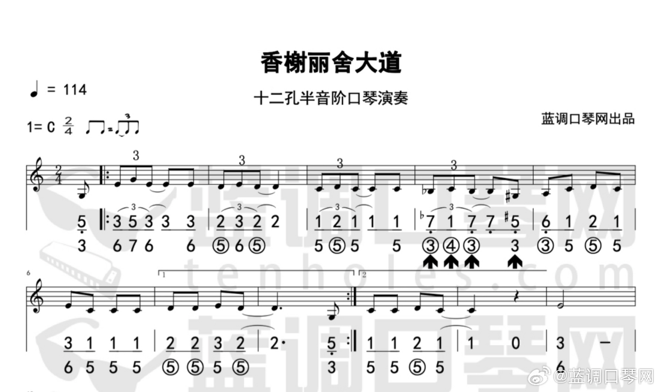 【曲谱更新】半音阶口琴演奏《香榭丽舍大道(les champs-elysées) 》