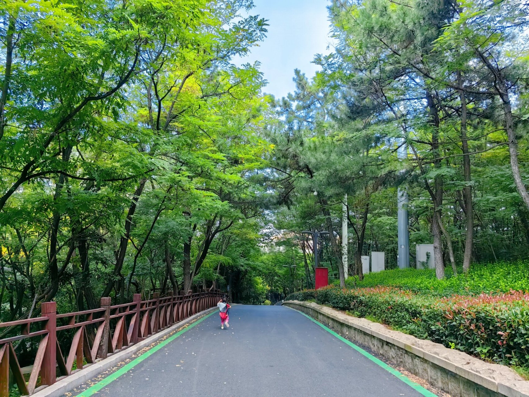 青岛旅游|北岭山森林公园最全攻略 有没有和我一样,周末不知道带娃去