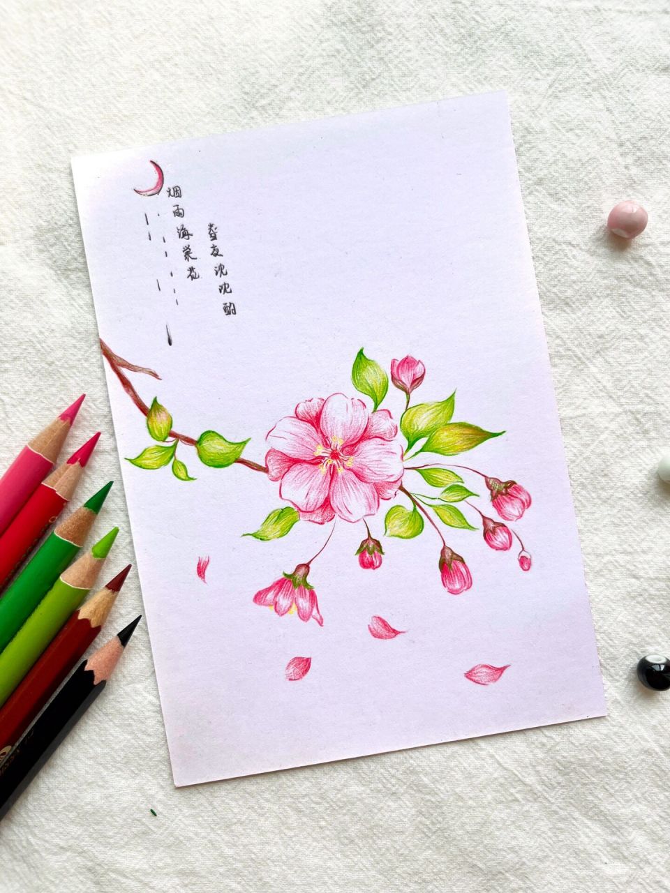 海棠花画法简单图片