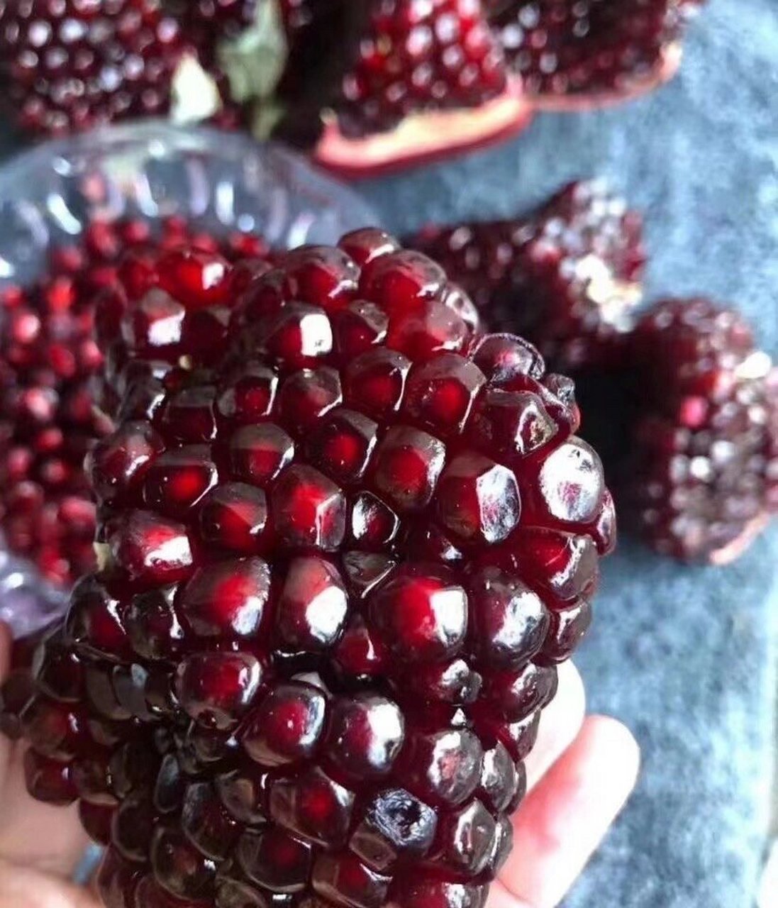 黑珍珠软籽酸甜石榴,喜上枝头95 突尼斯黑珍珠酸甜石榴 和甜石榴的