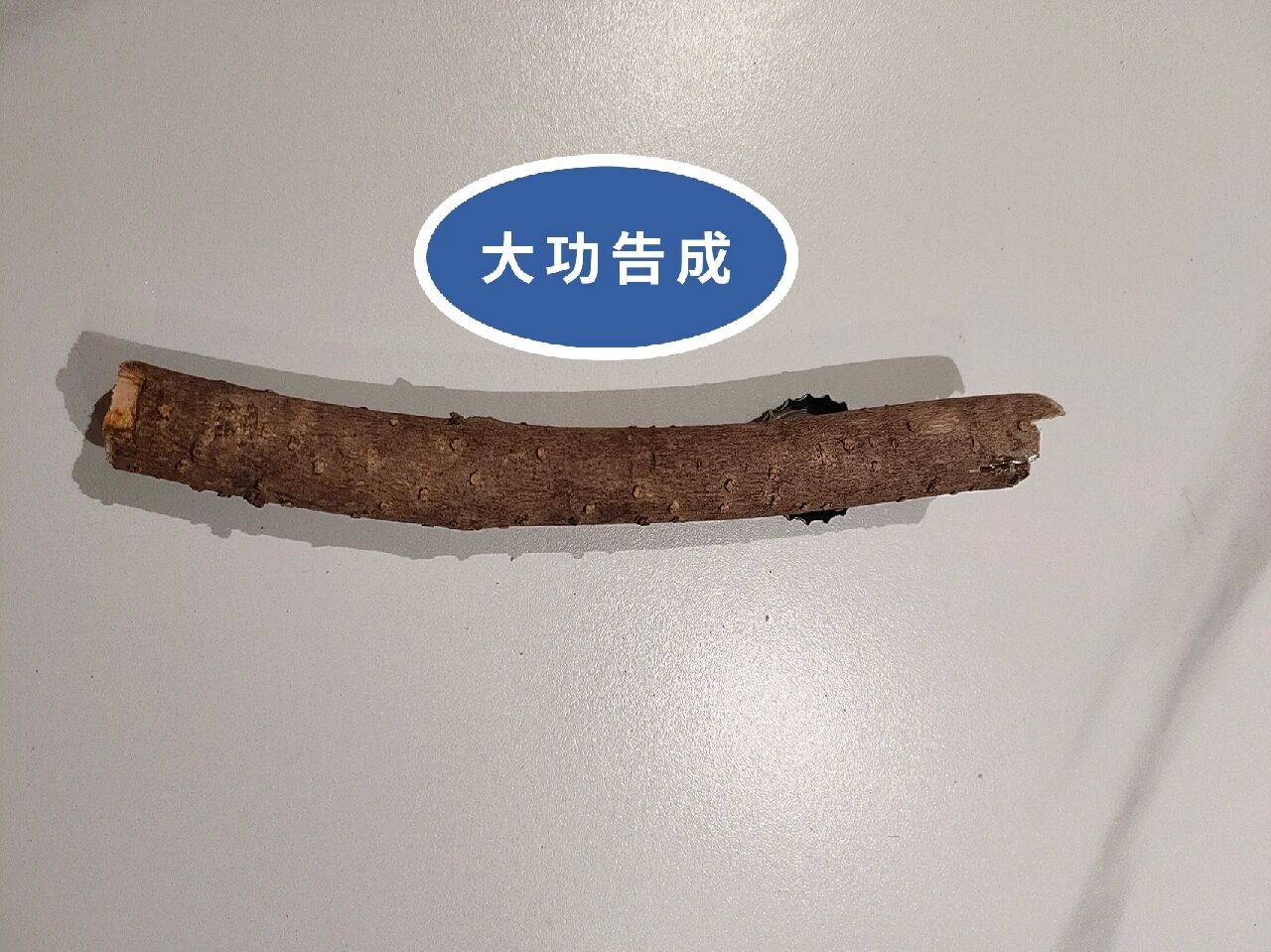 自制木头啤酒起子 利用修剪下来的桂花树枝和一块铁片片自制了一个