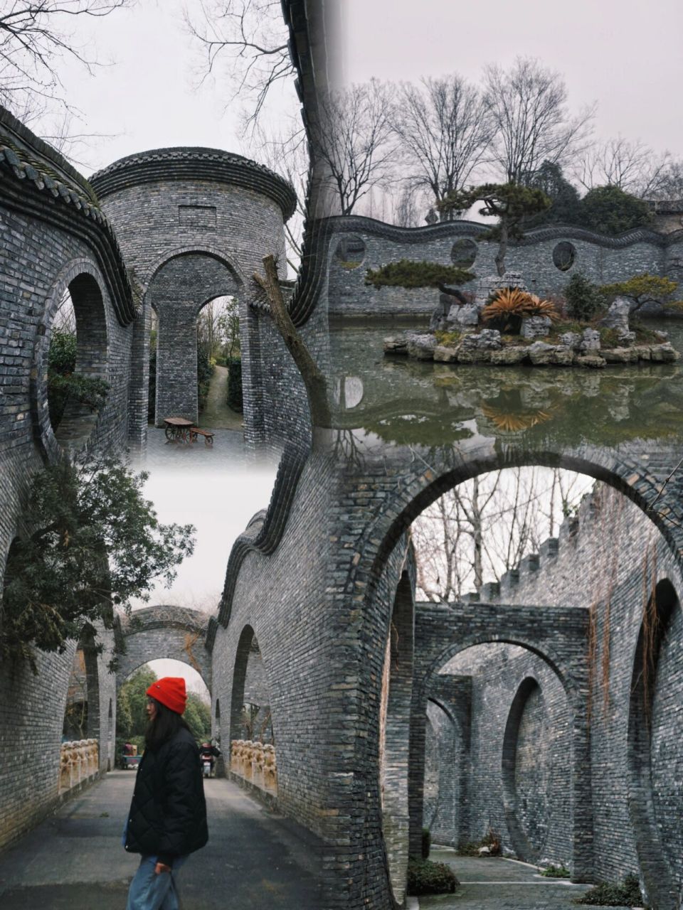 江都朴园是全国最大朴树生产基地,它的朴树存储量为全国之冠.