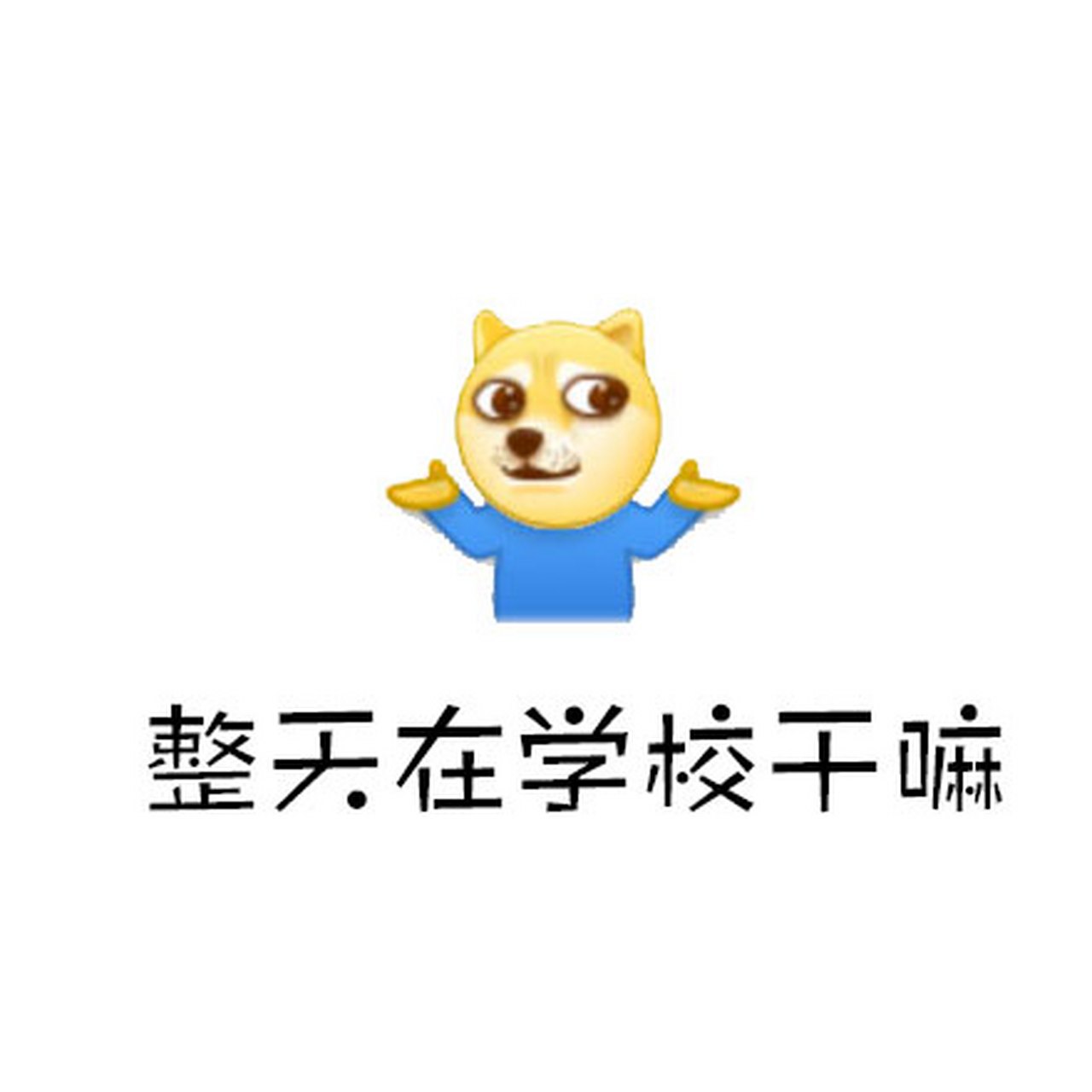 走你学校图片搞笑图片图片