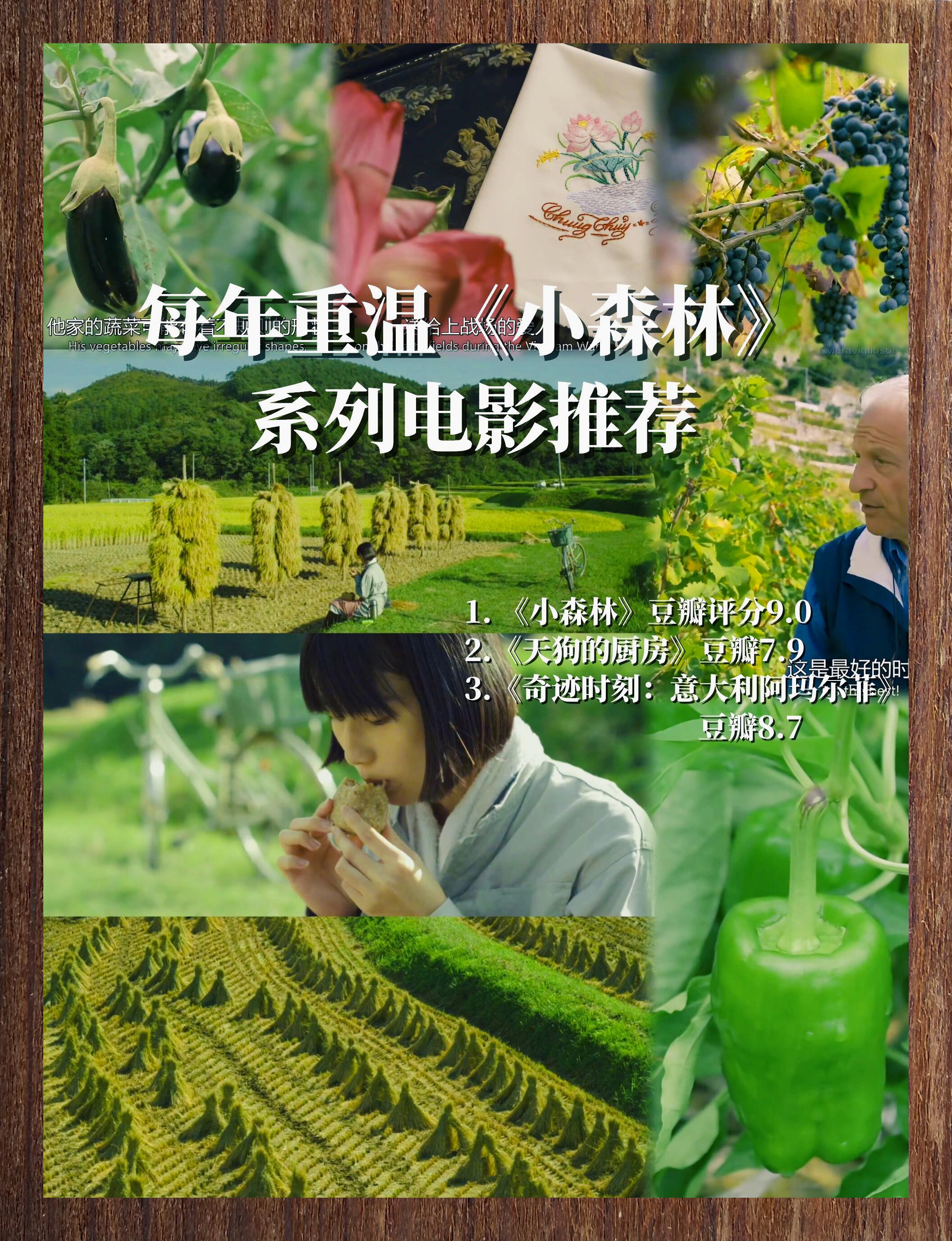 必看美食电影 《小森林》系列 下饭必备