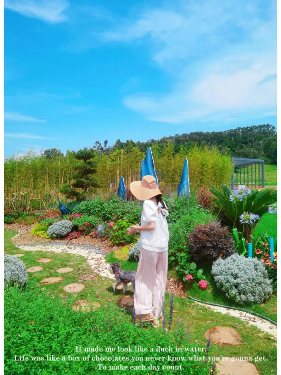 南宁值得去的生态公园—灵龟山公园 南宁是个慢节奏生活的城市,滨江