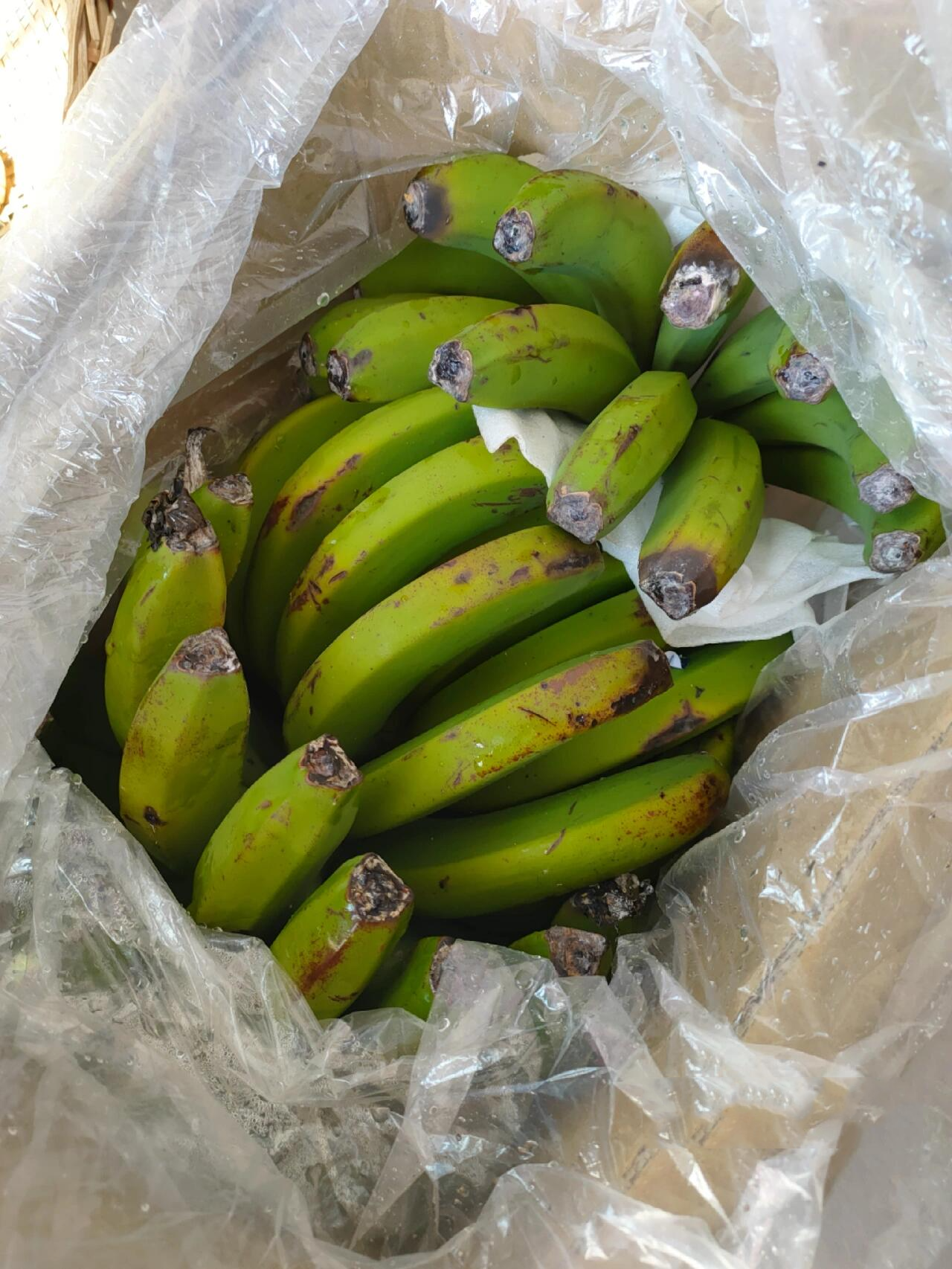 放了一个月没熟的香蕉,今天看长霉了