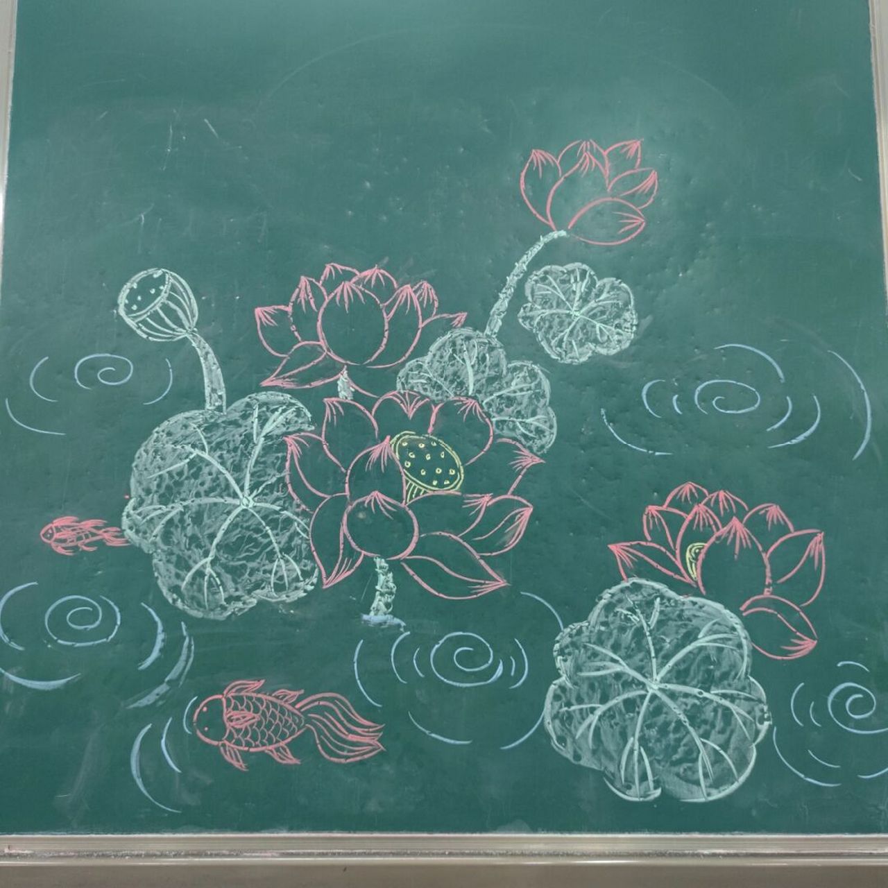 小学美术|黑板粉笔画|儿童简笔画|夏日荷花 #黑板画# #粉笔画# #儿童