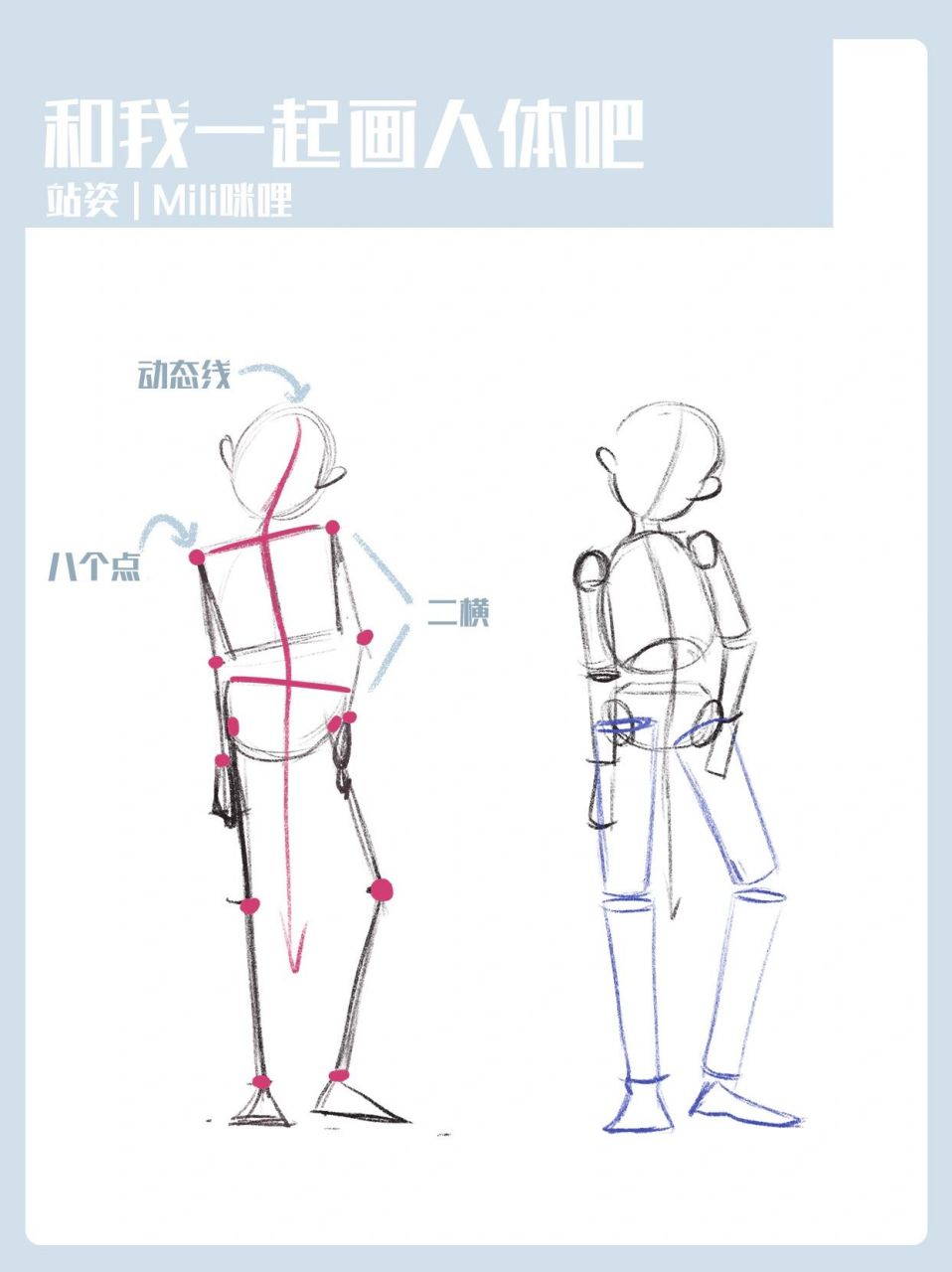 【和我一起画人体吧】-站姿 画人体流程 1,找到动态线 2,找到二横 3