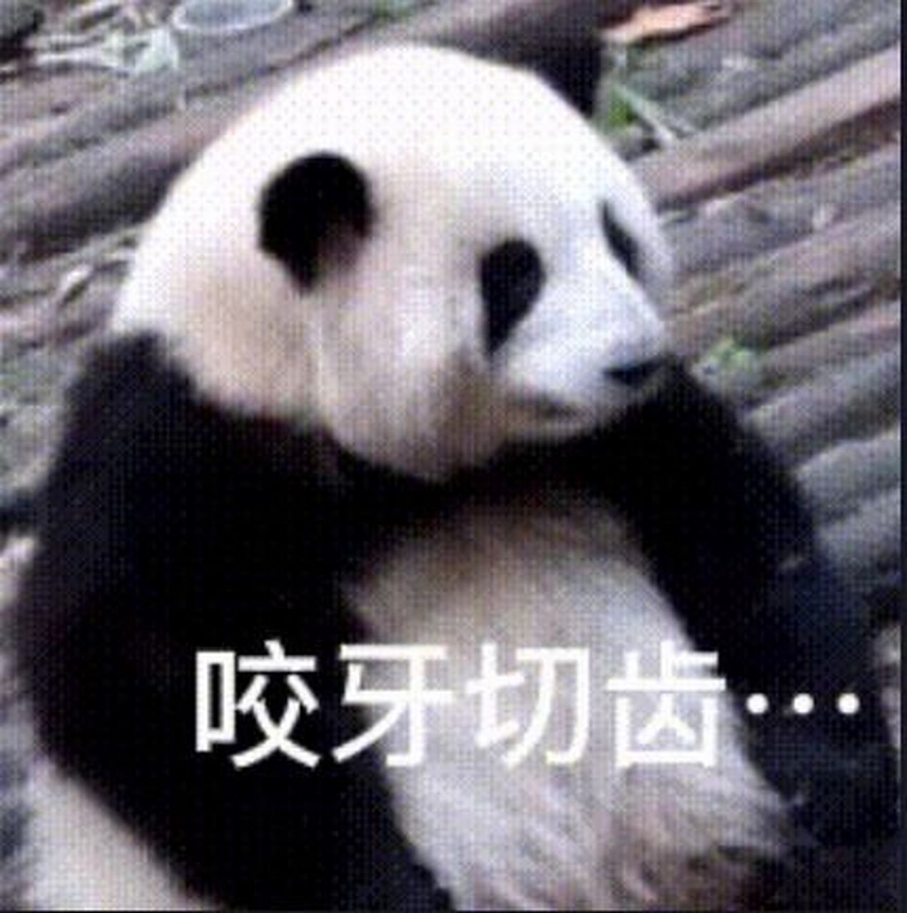 新收集的花花表情包,真可爱786178 花花小可爱