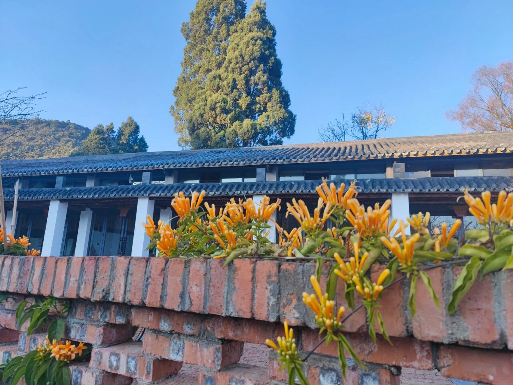 陆良三道沟 去的那天是大晴天,风景蛮好的,可以玩的项目有很多,尽量